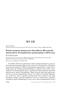 Новая встреча рыжеухого бюльбюля Microscelis amaurotis в Уссурийском заповеднике в 2019 году