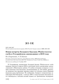 Новая встреча большого баклана Phalacrocorax carbo в Уссурийском заповеднике в 2019 году