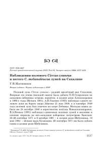 Наблюдения полевого Circus cyaneus и пегого C. melanoleucos луней на Сахалине