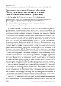 Гнездовое поселение большого баклана Phalacrocorax carbo в нижнем течении реки Протоки (Восточное Приазовье)