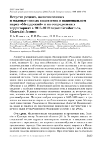 Встречи редких, малочисленных и малоизученных видов птиц в национальном парке "Мещерский" и на сопредельных территориях в 2015-2019 годах: Gruiformes, Charadriiformes