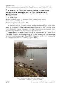 О встречах в Казани и окрестностях редких видов птиц, занесённых в Красную книгу Татарстана