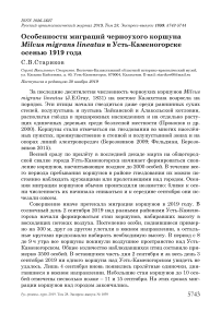 Особенности миграций черноухого коршуна Milvus migrans lineatus в Усть-Каменогорске осенью 1919 года