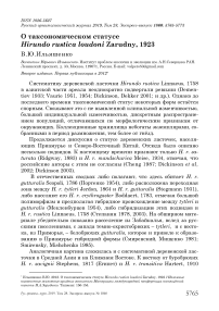 О таксономическом статусе Hirundo rustica loudoni Zarudny, 1923