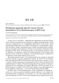 Необычно ранний прилёт галок Corvus monedula в Усть-Каменогорск в 2019 году