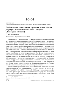 Наблюдение за колонией луговых луней Circus pygargus в окрестностях села Сенцово (Липецкая область)