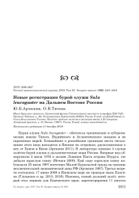 Новые регистрации бурой олуши Sula leucogaster на Дальнем Востоке России