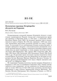 Кольчатая горлица Streptopelia decaocto на Украине