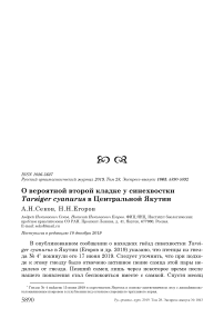 О вероятной второй кладке у синехвостки Tarsiger cyanurus в Центральной Якутии