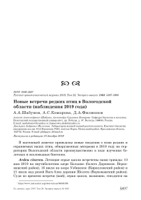 Новые встречи редких птиц в Вологодской области (наблюдения 2019 года)