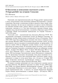 О биологии и поведении охотского улита Tringa guttifer на острове Сахалин