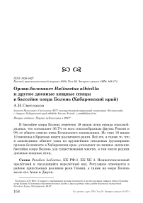 Орлан-белохвост Haliaeetus albicilla и другие дневные хищные птицы в бассейне озера Болонь (Хабаровский край)