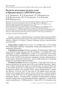 Встречи некоторых редких птиц в Приднестровье в 2016-2019 годах