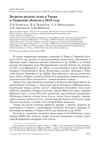 Встречи редких птиц в Твери и Тверской области в 2019 году