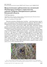 Фенологические наблюдения над весничкой Phylloscopus trochilus в окрестностях деревни Дубровы Новоржевского района Псковской области