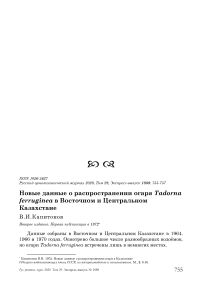 Новые данные о распространении огаря Tadorna ferruginea в восточном и Центральном Казахстане