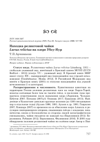 Находка реликтовой чайки Larus relictus на озере Убсу-Нур