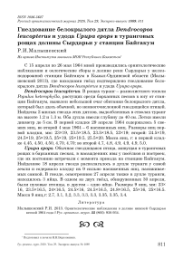 Гнездование белокрылого дятла Dendrocopos leucopterus и удода Upupa epops в Туранговых рощах долины Сырдарьи у станции Байгакум