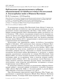 Наблюдение предполагаемого гибрида обыкновенной Acridotheres tristis и белоголовой A. leucocephalus майн в Южном Вьетнаме