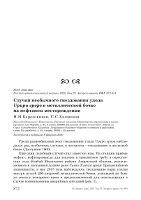 Случай необычного гнездования удода Upupa epops в металлической бочке на нефтяном месторождении