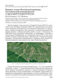 Хищные птицы Осетинской равнины, Силтанукской возвышенности и предгорий Северной Осетии