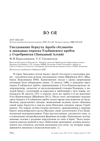 Гнездование беркута Aquila chrysaetos в западных отрогах Ульбинского хребта у Серебрянска (Западный Алтай)