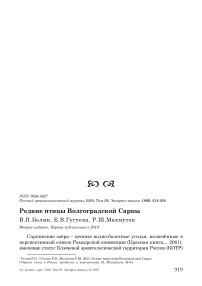 Редкие птицы Волгоградской Сарпы