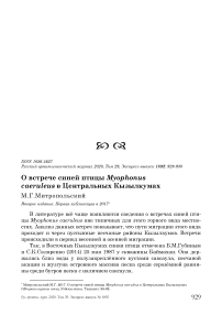 О встрече синей птицы Myophonus caeruleus в Центральных Кызылкумах