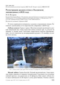 Регистрации редких птиц в Лазовском заповеднике в 2019 году