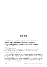 Новые появления большой белой цапли Casmerodius albus в Бухтарминской долине на Южном Алтае