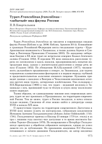 Турач Francolinus francolinus - «забытый» вид фауны России