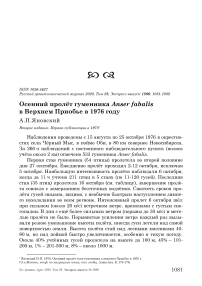 Осенний пролёт гуменника Anser fabalis в Верхнем Приобье в 1976 году