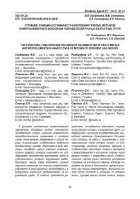 Строение, функции и особенности накопления тяжелых металлов и микроэлементов в волосяном покрове лосей разных возрастных групп