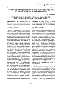 Патоморфология врожденной диафрагмальной грыжи, ассоциированной с пороком развития ободочной кишки у жеребенка