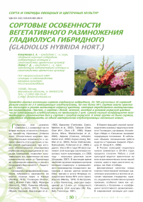 Сортовые особенности вегетативного размножения гладиолуса гибридного (gladiolus hybrida hort.)