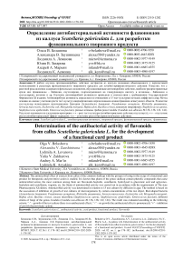 Определение антибактериальной активности флавоноидов из каллуса Scutellaria galericulata L. для разработки функционального творожного продукта