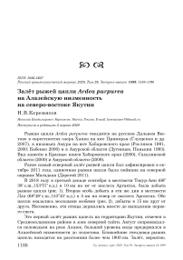 Залёт рыжей цапли Ardea purpurea на Алазейскую низменность на Северо-Востоке Якутии