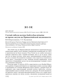 Случай гибели волчка Ixobrychus minutus во время засухи на Прикаспийской низменности