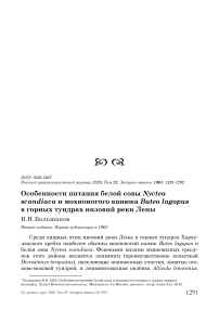 Особенности питания белой совы Nyctea scandiaca и мохноногого канюка Buteo lagopus в горных тундрах низовий реки Лены