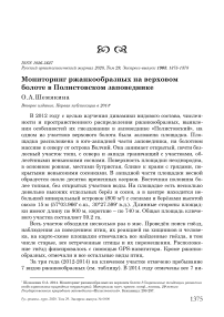 Мониторинг ржанкообразных на верховом болоте в Полистовском заповеднике