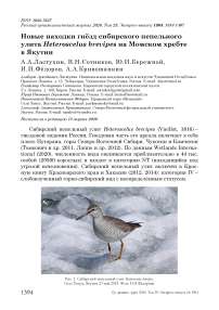 Новые находки гнёзд сибирского пепельного улита Heteroscelus brevipes на Момском хребте в Якутии