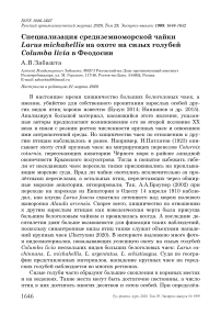 Специализация средиземноморской чайки Larus michahellis на охоте на сизых голубей Columba livia в Феодосии