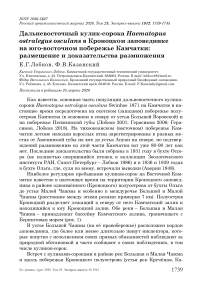 Дальневосточный кулик-сорока Haematopus ostralegus Osculans в Кроноцком заповеднике на юго-восточном побережье Камчатки: размещение и доказательства размножения