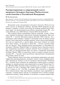 Распространение и современный статус японского большого баклана Phalacrocorax carbo Hanedae в Российской Федерации