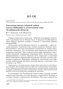 Гнездовая жизнь озёрной чайки Larus ridibundus в лесостепной зоне Челябинской области