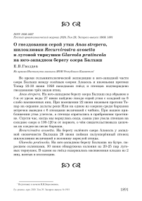 О гнездовании серой утки Anas strepera, шилоклювки Recurvirostra avosetta и луговой тиркушки Glareola pratincola на юго-западном берегу озера Балхаш