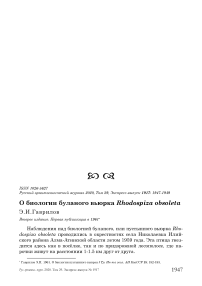 О биологии буланого вьюрка Rhodospiza obsoleta