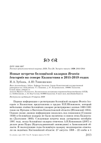 Новые встречи белощёкой казарки Branta leucopsis на севере Казахстана в 2015-2019 годах