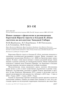 Новые данные о фенологии и размножении береговой Riparia riparia и бледной R. diluta ласточек на юго-востоке Западной Сибири