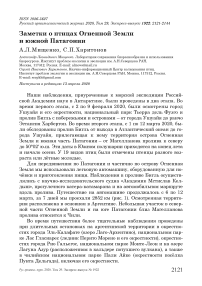 Заметки о птицах огненной земли и Южной Патагонии